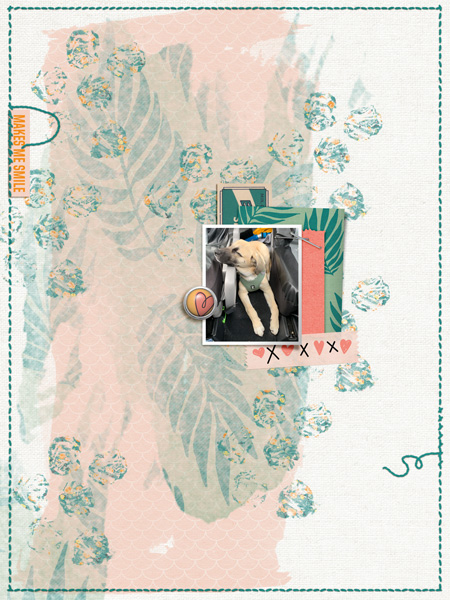 Puppy June 2020