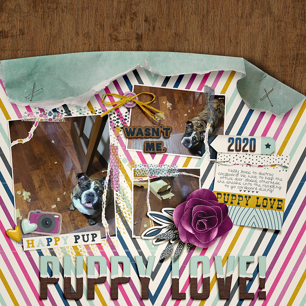 Puppy Love MOC6