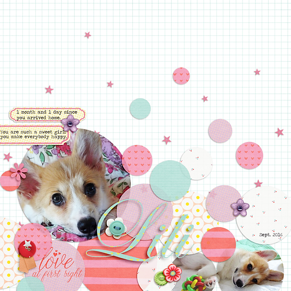 Puppy love