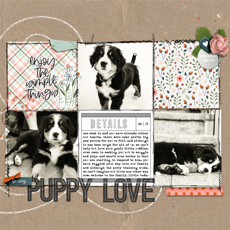 Puppy Love