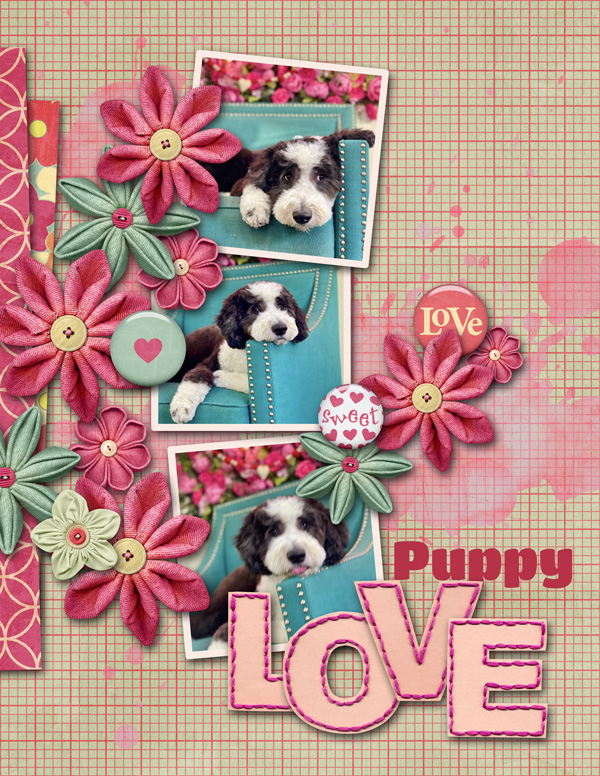 Puppy Love