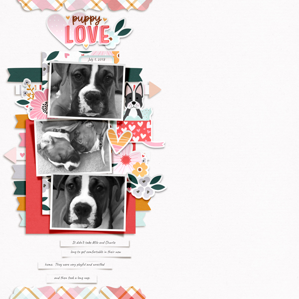 Puppy Love