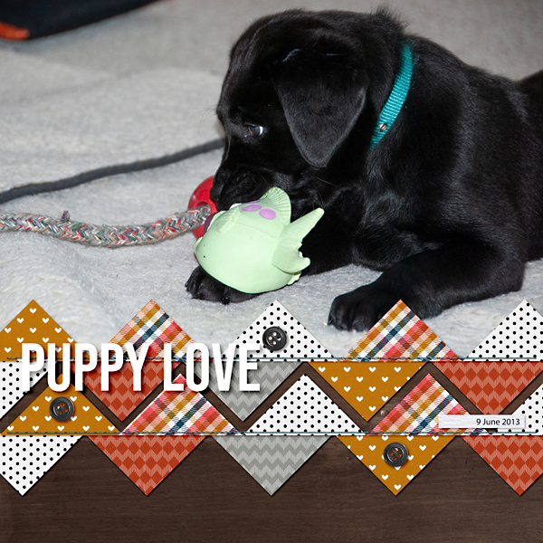 Puppy Love