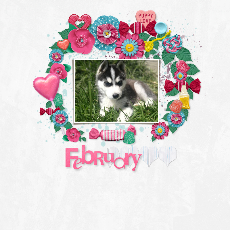Puppy Love