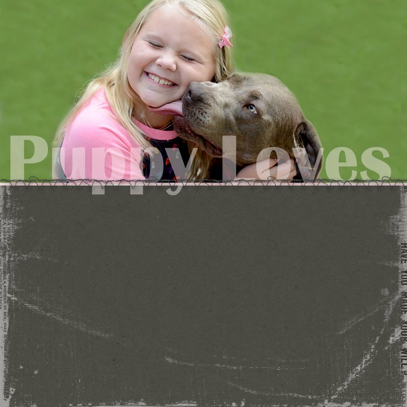 Puppy Loves