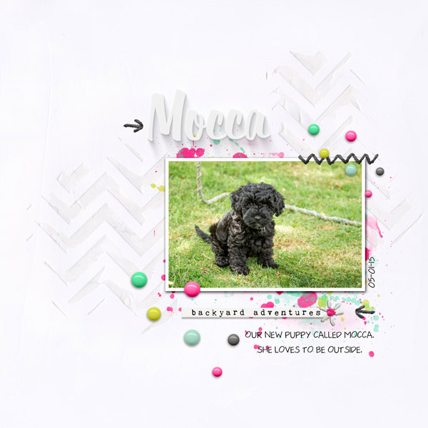 Puppy Mocca