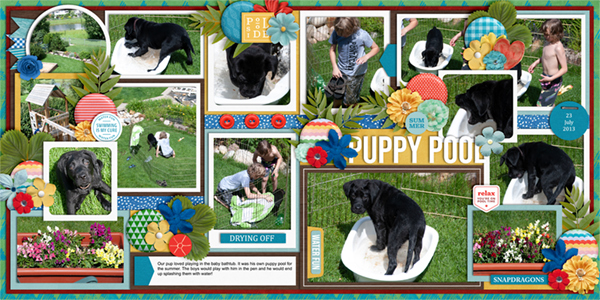 Puppy Pool (double page)