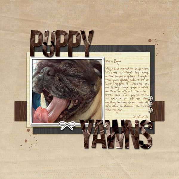 Puppy Yawns