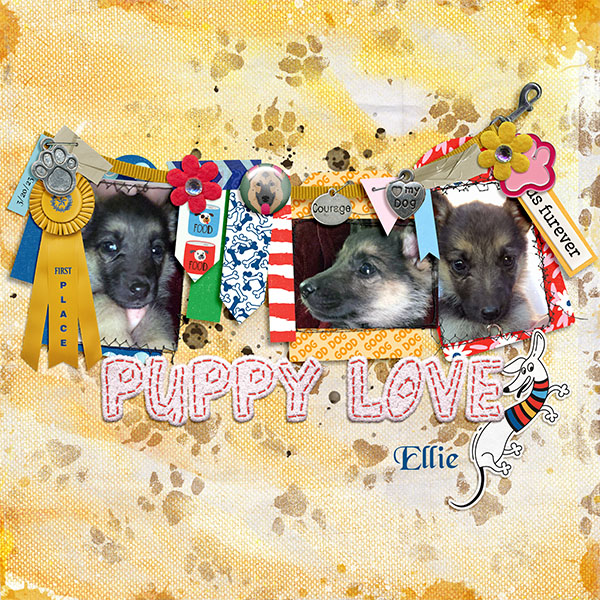 Puppy