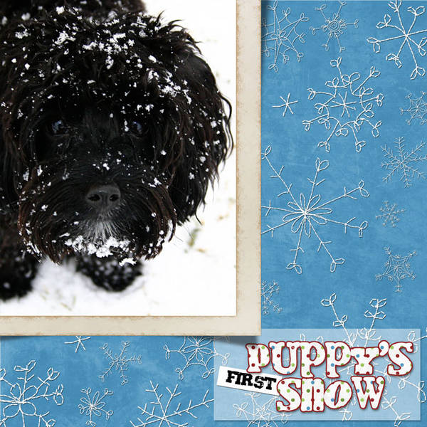 Puppys First Snow