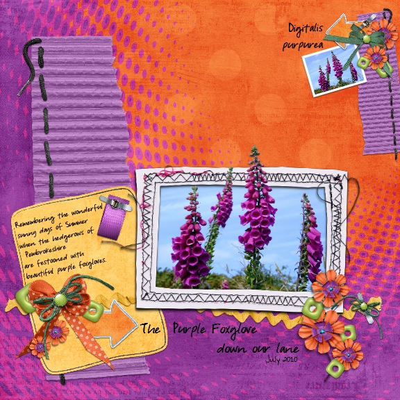 Purple Foxglove