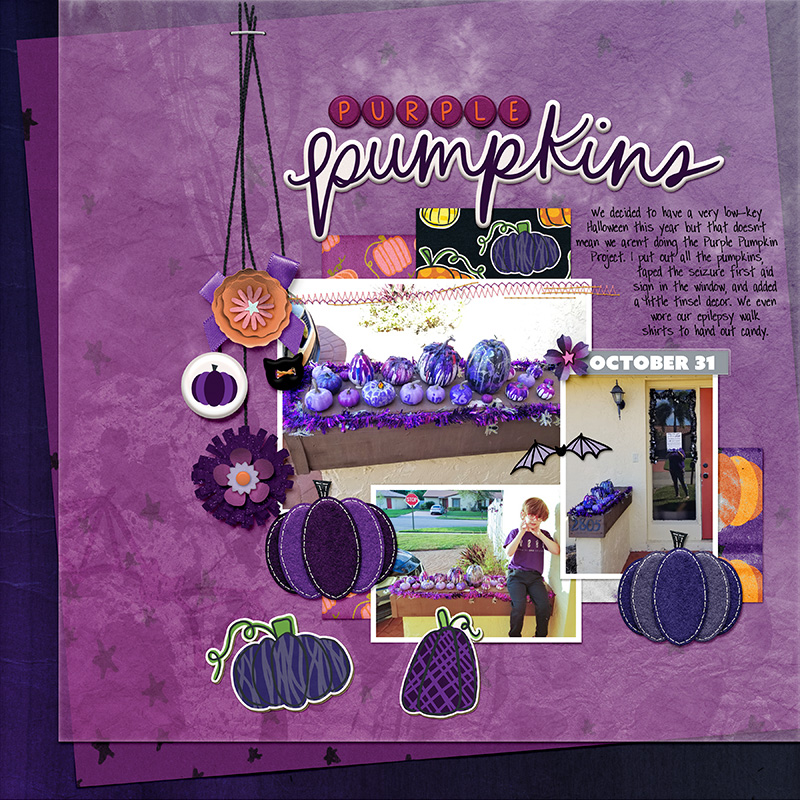 Purple Pumpkins 2023