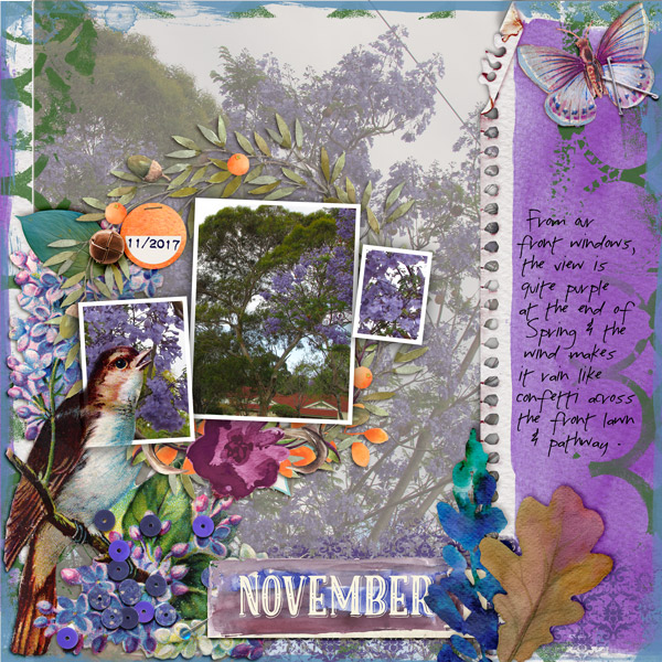 purple rain - Nov Photog chall