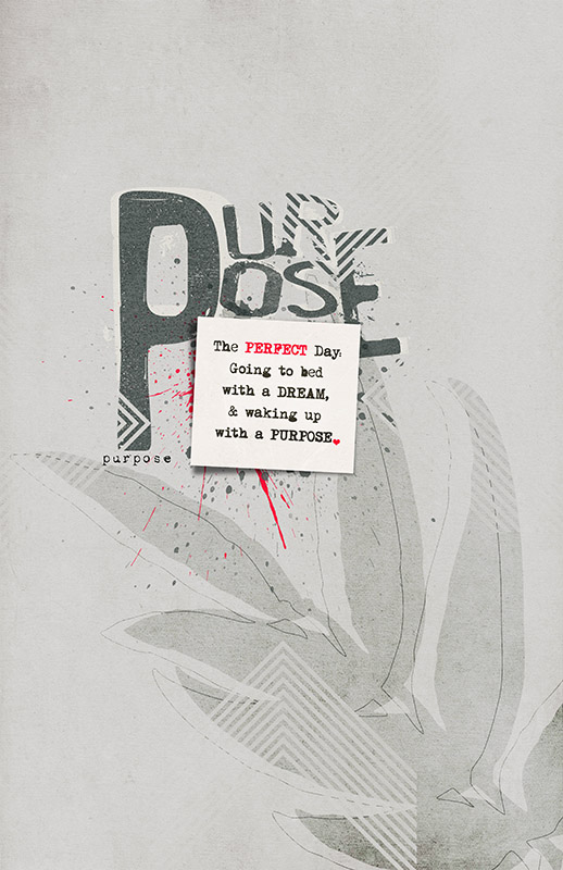 Purpose