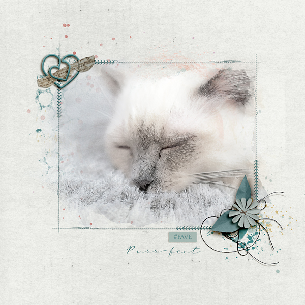 Purr-fect