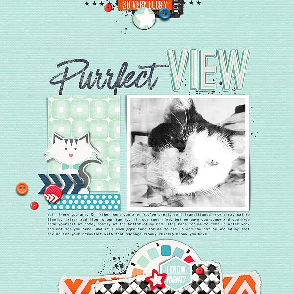 Purrfect View