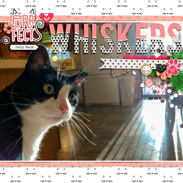 Purrfect Whiskers [MOC9 January 6: Torn Title]