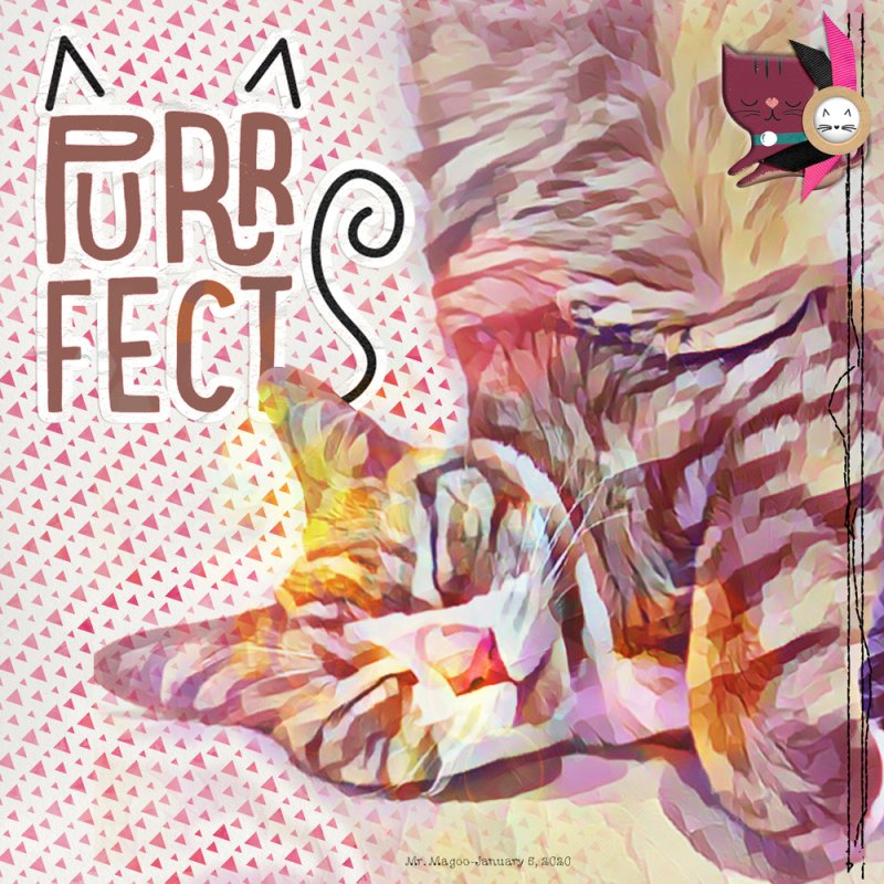 PurrFect