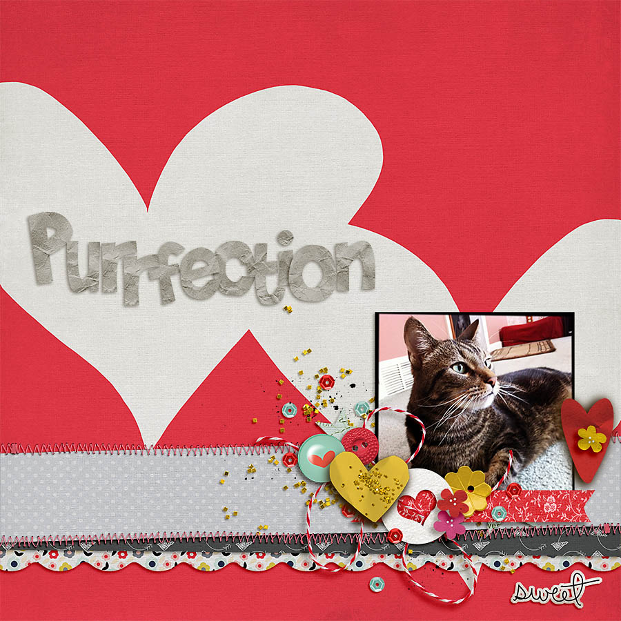 Purrfection