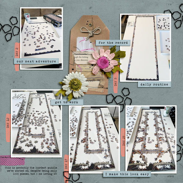 Puzzle Progress