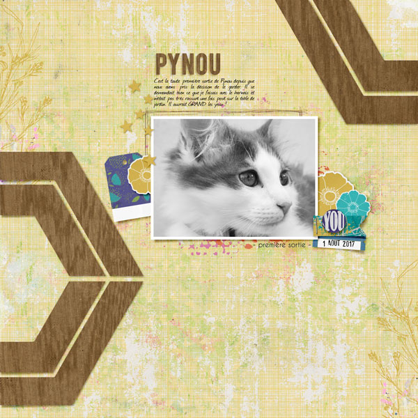 Pynou, premiere sortie