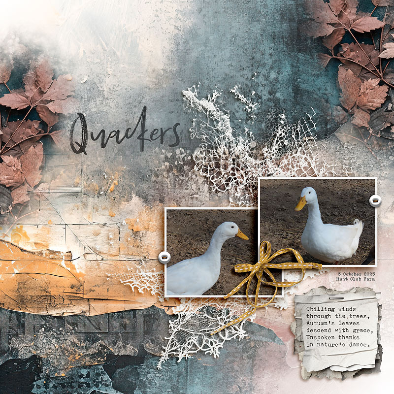 Quackers