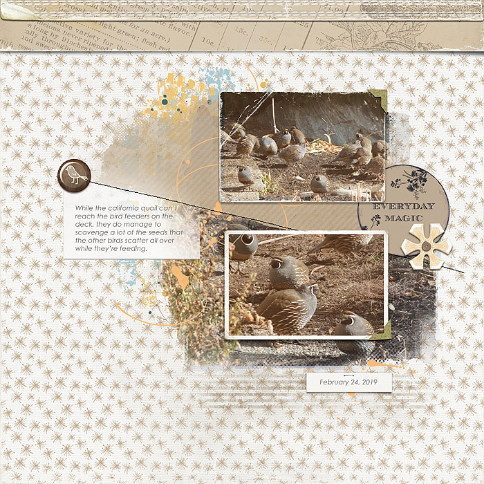 Quail