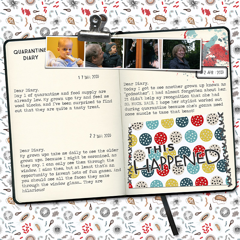 Quarantine Diary