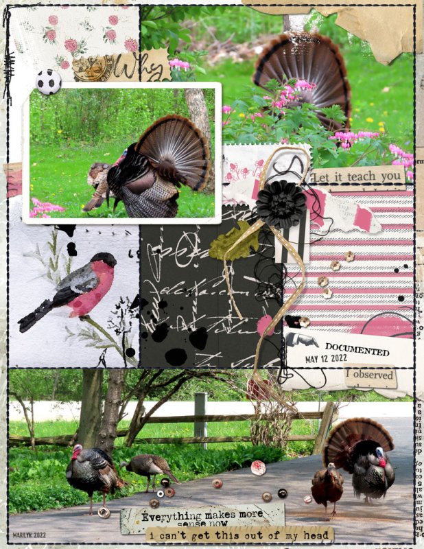 Questioning_Turkey