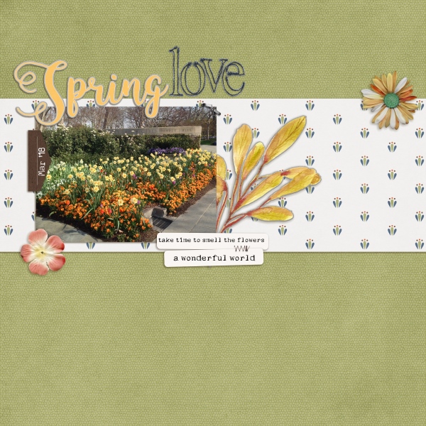 Quick slow scrap 6may