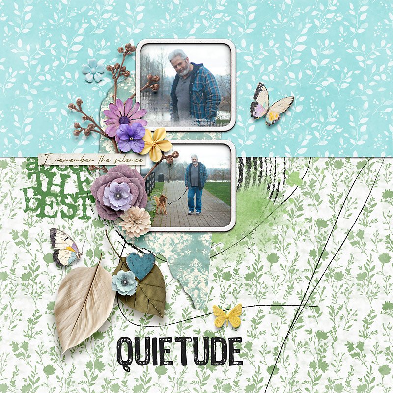 Quietude