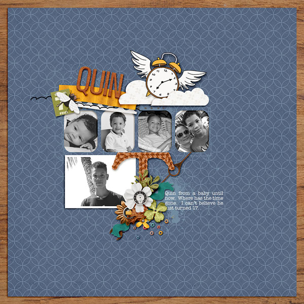Quin