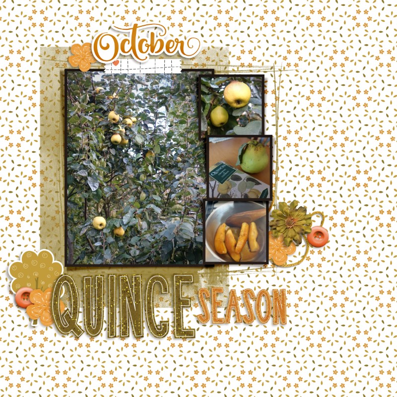 Quince Season
