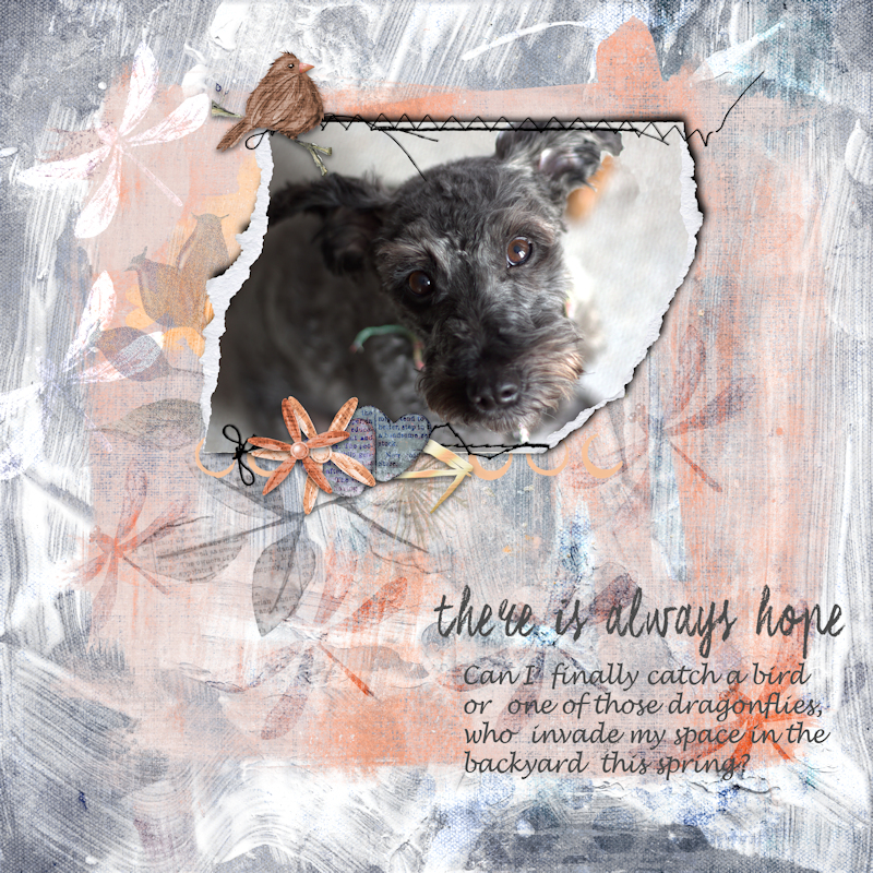 Quincy Dawn Inskip March 2017 Challenge 800 Pixels