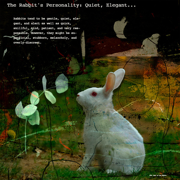 Rabbit