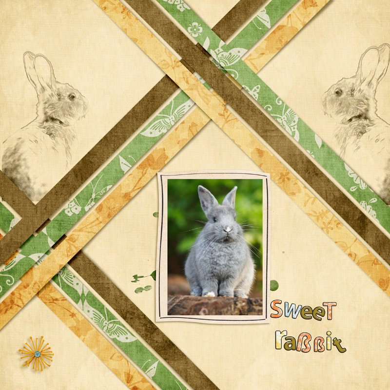 Rabbit