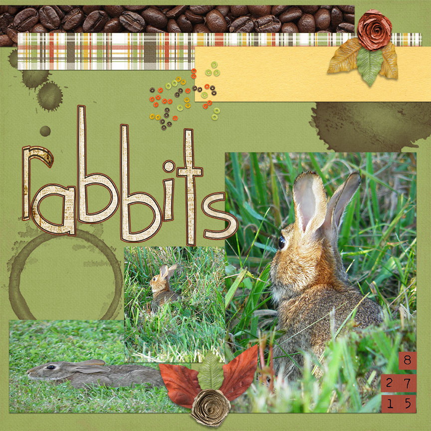Rabbits