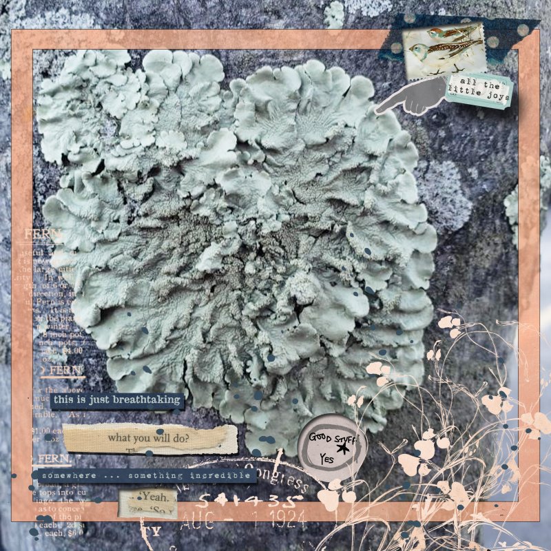 Rachel Jefferies December Challenge
