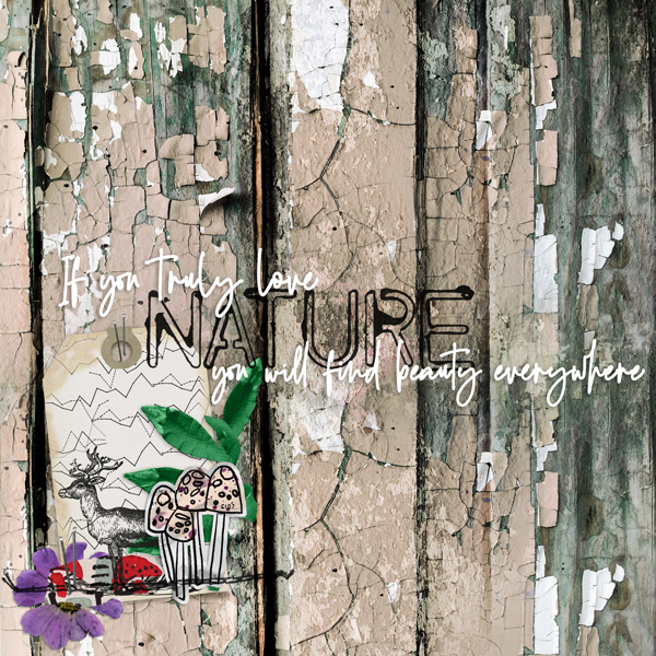 Rachel Jefferies: October 2020 Challenge -Nature Tag
