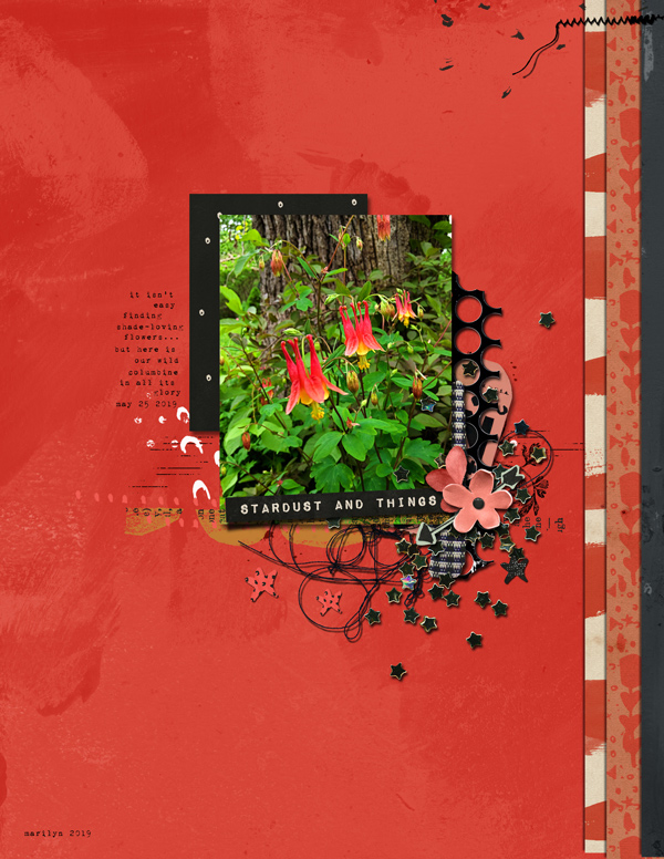 Rachel-Jefferies_2019-06_June_Blog-Challenge_web