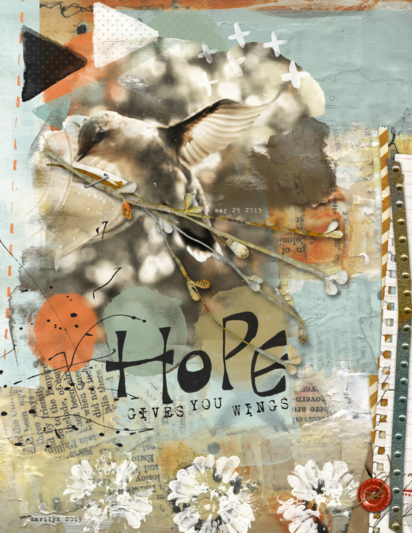 Rachel-Jefferies_2019-06_June_SOSN_0626_Those-Wings_Hummingbird_web