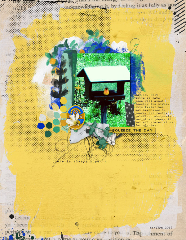 Rachel-Jefferies_2019-07_July_BYOC_0705_Citron_goldfinch_web