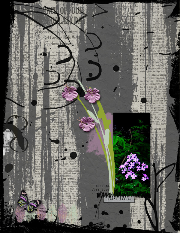 Rachel-Jefferies_2019-07_July_SOSN_0717_Off-the-Grid_violet_web