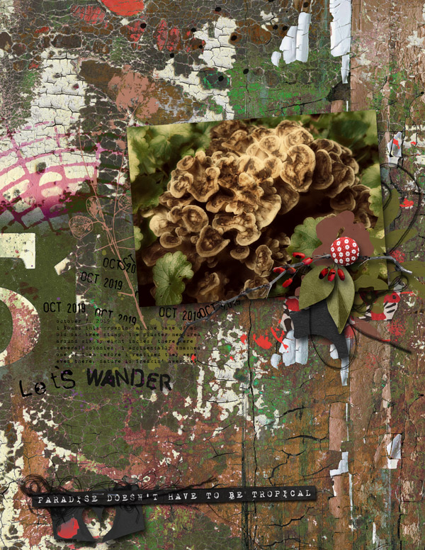 Rachel-Jefferies_2019-11_November_BYOC_Wander&Explore_web