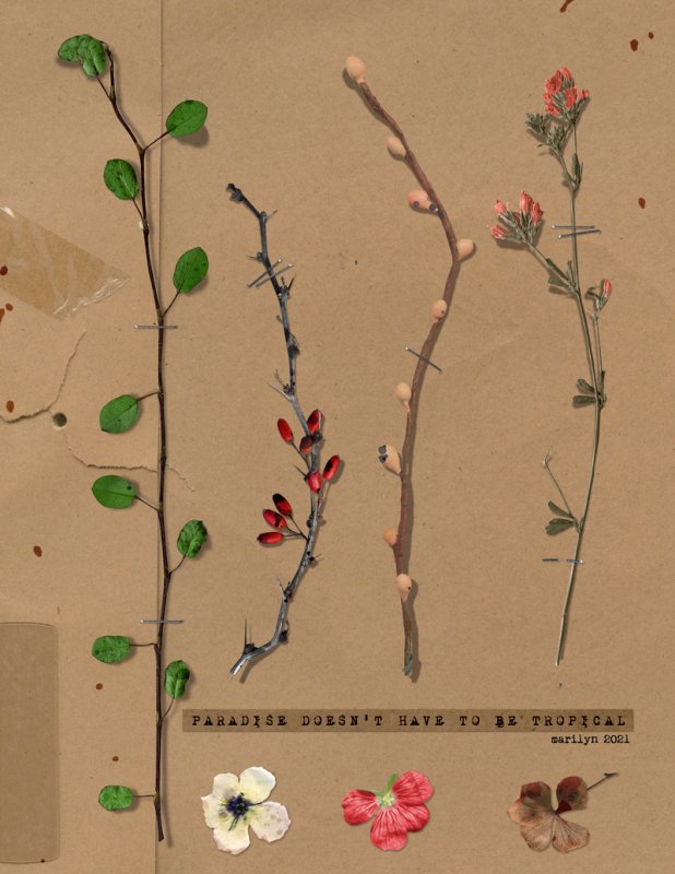 Rachel-Jefferies_2021-04_April_Challenge_Mood-Board_web