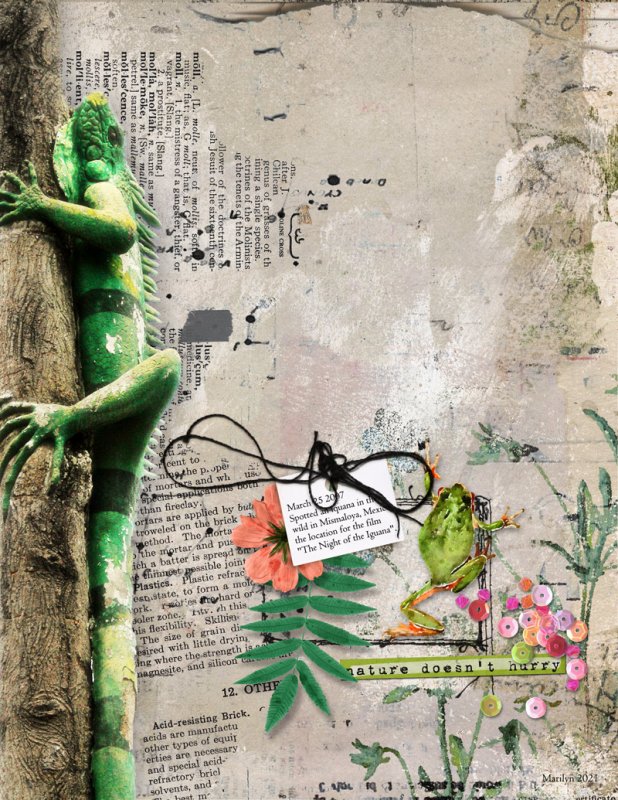 Rachel-Jefferies_2021-06_June_Challenge_Blended-Papers_web