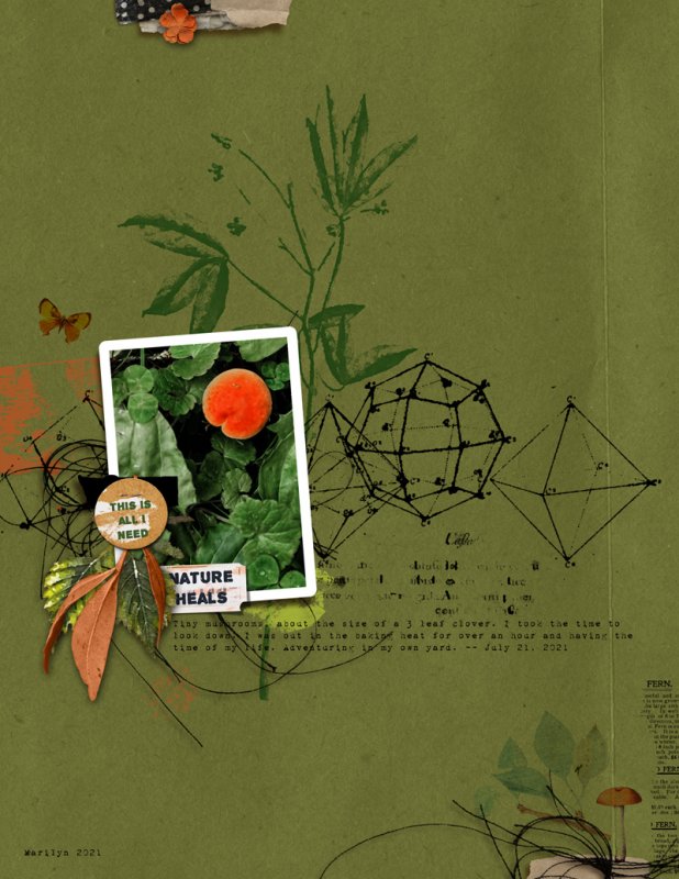 Rachel-Jefferies_2021-07_July_NEW_0730_Stampalicious_Isomorphism_web