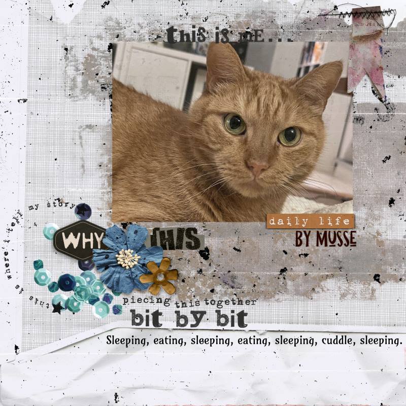 Rachel Jeffries Featured Challenge April