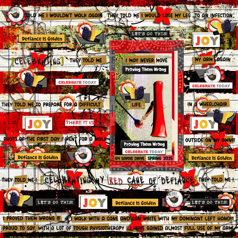Rachel & Lynn's Hear My Voice Challenge No. 23-May 2026-Celebrating-Red Cane Of Defiance
