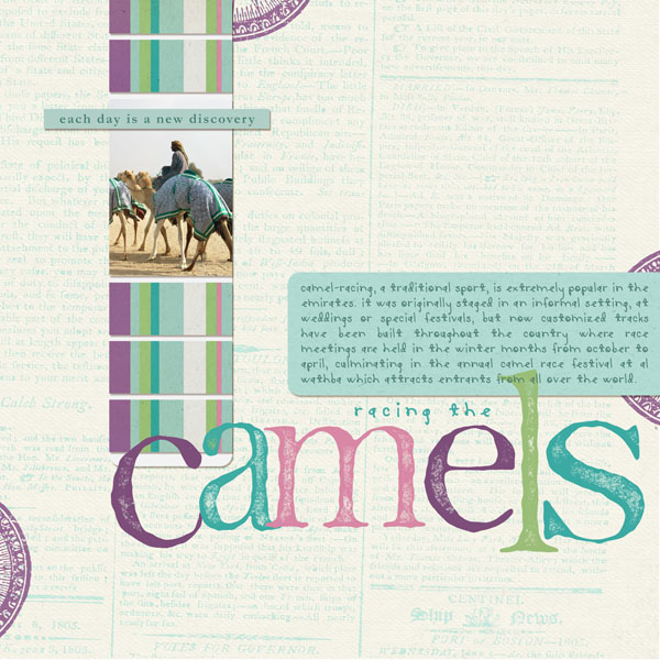 Racing camels